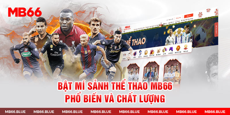 Bật mí sảnh thể thao MB66 phổ biến và chất lượng 